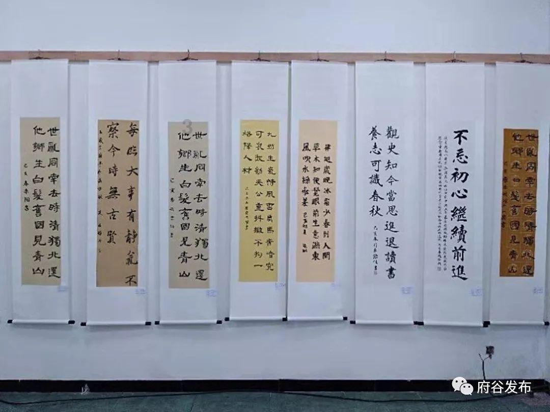 植物大战僵尸15